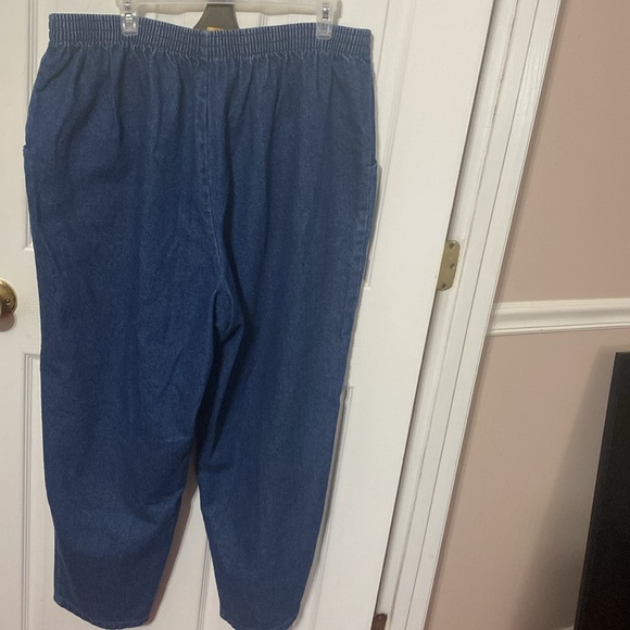 Elements women’s plus size denim jeans; size: 24WP - Picture 2 of 4